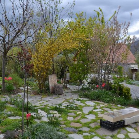 Petit Appartement En Montagne Saint-Julien-en-Champsaur Eksteriør billede