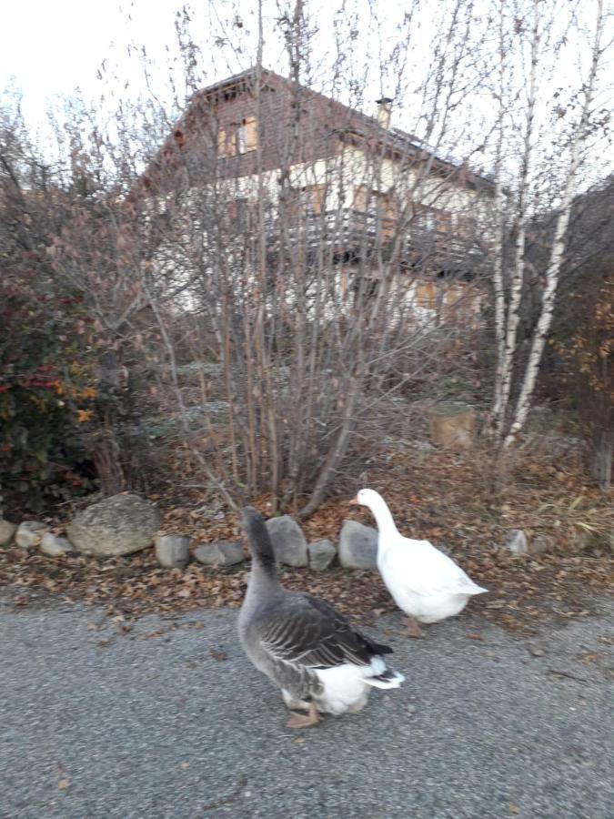 Petit Appartement En Montagne Saint-Julien-en-Champsaur Eksteriør billede